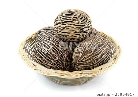 dried cerbera odd loam's seeds on white background 25964917