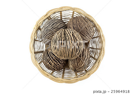 dried cerbera odd loam's seeds on white background 25964918