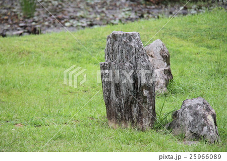 常栄寺 常栄寺 25966089