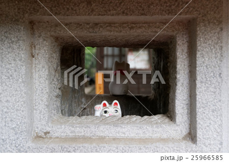 豪徳寺の石灯籠の中の招き猫 豪徳寺の石灯籠の中の招き猫 25966585