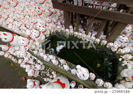 豪徳寺の招き猫 豪徳寺の招き猫 25966588