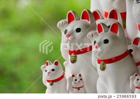豪徳寺の招き猫 25966593