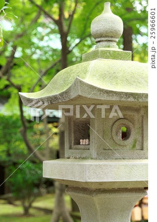 豪徳寺の石灯籠の中の招き猫 豪徳寺の石灯籠の中の招き猫 25966601