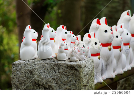 豪徳寺の招き猫 25966604