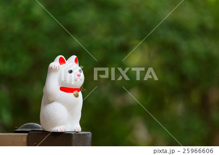 豪徳寺の招き猫 25966606