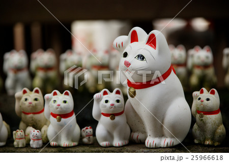 豪徳寺の招き猫 豪徳寺の招き猫 25966618