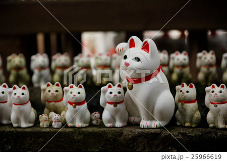 豪徳寺の招き猫 25966619