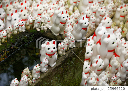 豪徳寺の招き猫 25966620