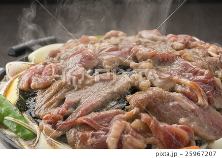 ジンギスカン 25967207