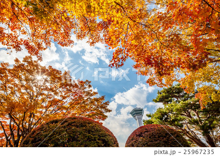 五稜郭公園の紅葉と五稜郭タワー 五稜郭公園の紅葉と五稜郭タワー 25967235