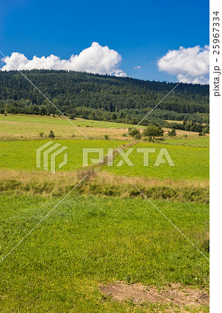 Green field and blue sky with white clouds summer  25967334