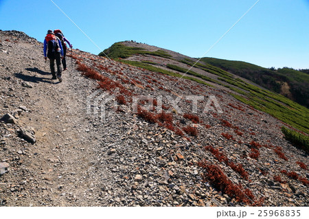北アルプス・蝶ヶ岳山頂へ向かう登山者 25968835