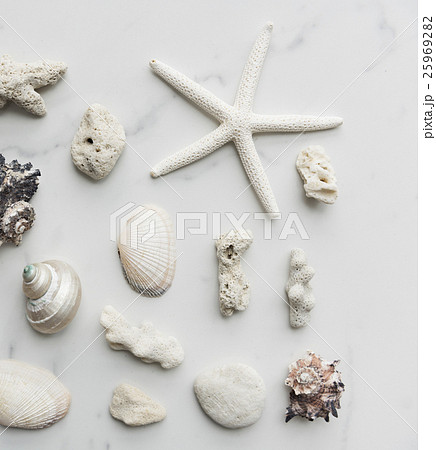 Starfish Seashell Summer Holiday Vacation Beach Concept Starfish Seashell Summer Holiday Vacation Beach Concept 25969282