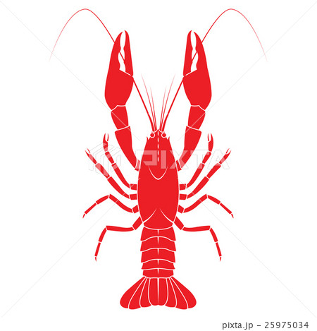 Red crayfish vector flat illustration isolated Red crayfish vector flat illustration isolated 25975034