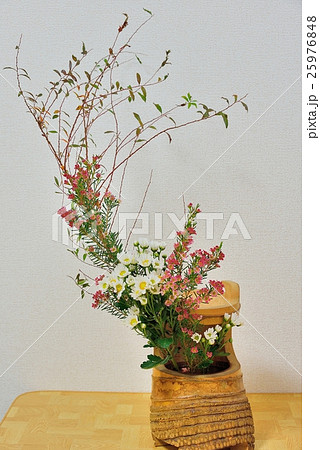 金亀花器への生け花 25976848