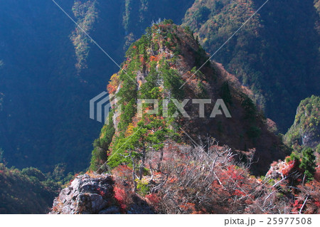 大台ヶ原　大蛇嵓 25977508