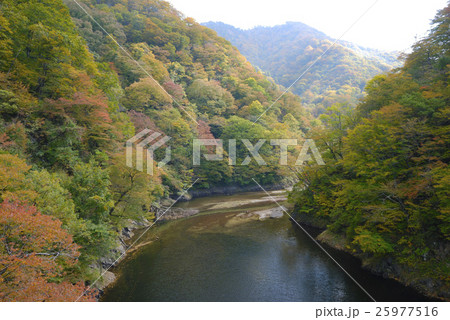 朝日スーパーラインおおさわ橋付近の紅葉 朝日スーパーラインおおさわ橋付近の紅葉 25977516