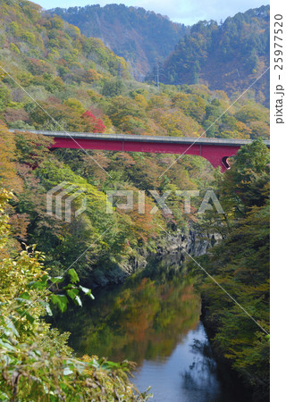 朝日スーパーラインの三面川の紅葉と架かる円吾橋 朝日スーパーラインの三面川の紅葉と架かる円吾橋 25977520