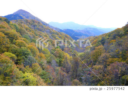 天蓋大橋より天蓋山、朝日連峰を見る 25977542