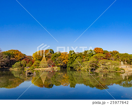 東京　六義園　紅葉 25977642