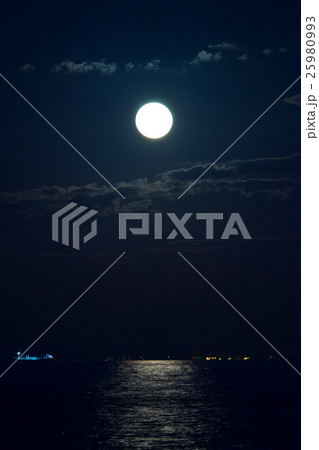 東京湾の月夜 東京湾の月夜 25980993
