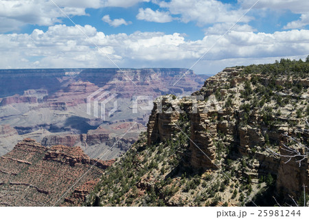 Overlooking the Grand Canyon 25981244