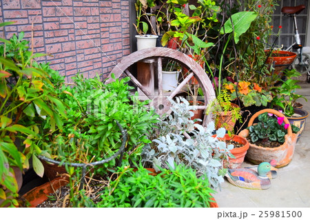 garden garden 25981500