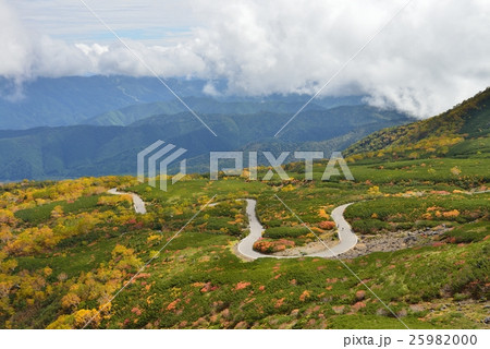 乗鞍エコーライン 紅葉 25982000