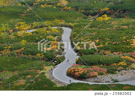 乗鞍エコーライン 紅葉 25982002