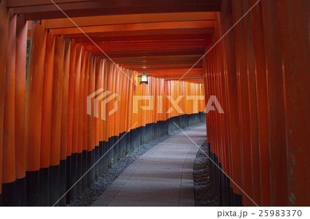 伏見稲荷大社 25983370