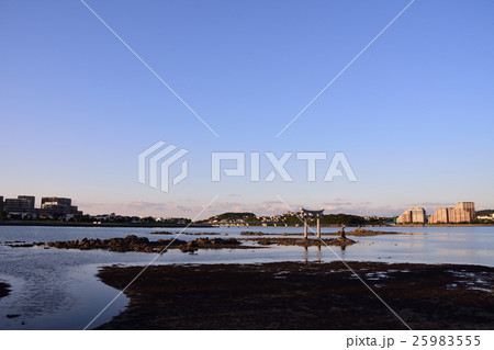 香椎浜北公園の夕景 25983555