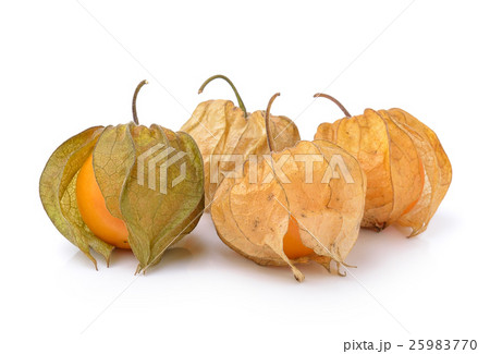 Physalis fruit on a white background 25983770