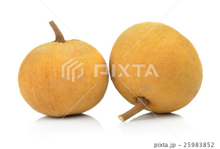 Santol fruit isolated on white background 25983852