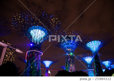 Garden Rhapsody lightshow - Garden by the bay 25984312