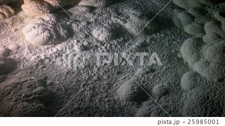 日本 ジャパン 日本国 25985001