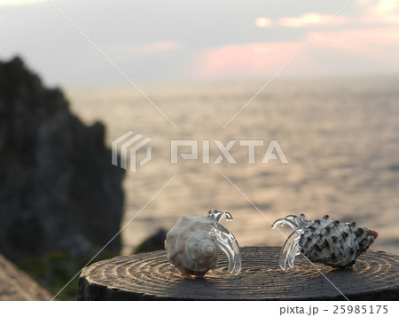 ガラスのヤドカリ 25985175