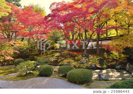 泉涌寺 紅葉 泉涌寺 紅葉 25986445