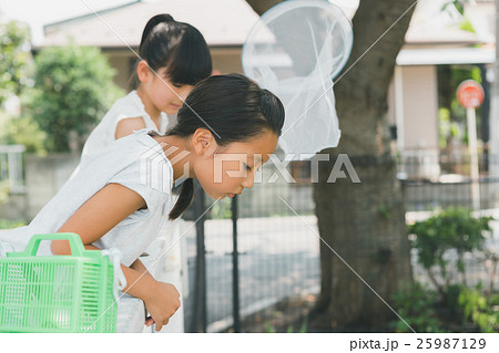 Fun summer holidays Fun summer holidays 25987129