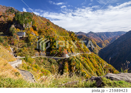 白山白川郷ホワイトロードの紅葉 白山白川郷ホワイトロードの紅葉 25989423
