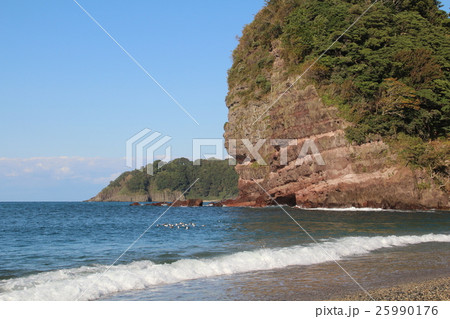 筥堅八幡宮社叢 筥堅八幡宮社叢 25990176