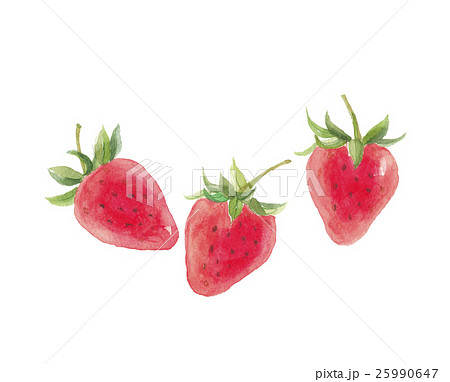 苺 イチゴのイラスト素材 25990647 Pixta