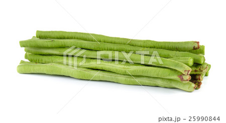 Yard Long bean on white background Yard Long bean on white background 25990844