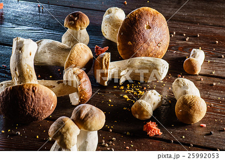 fresh boletus fresh boletus 25992053