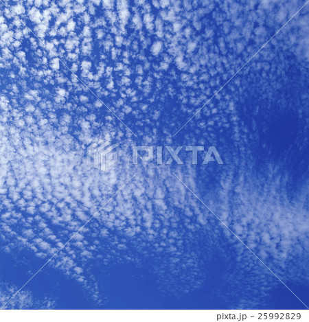 秋空　うろこ雲 25992829