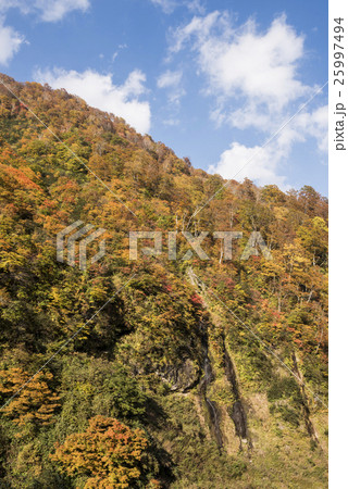 秋色のそうめん滝 25997494