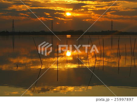 牛久沼　夕暮れ 25997897