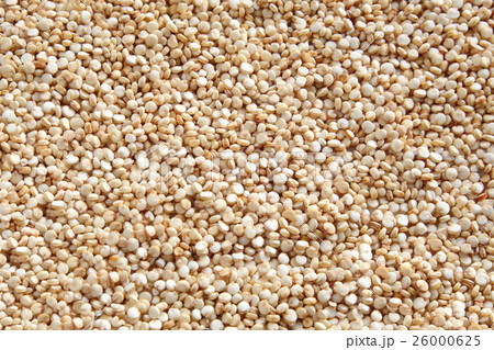 キヌア　スーパーフード 26000625