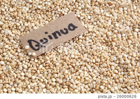 キヌア スーパーフード キヌア スーパーフード 26000626