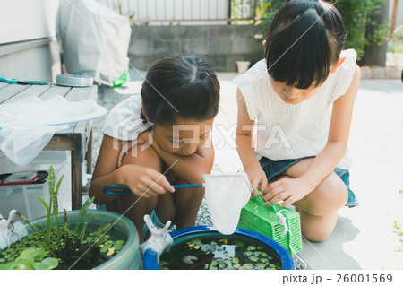 Fun summer holidays 26001569