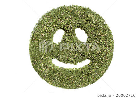 Smiley emoticon 26002716